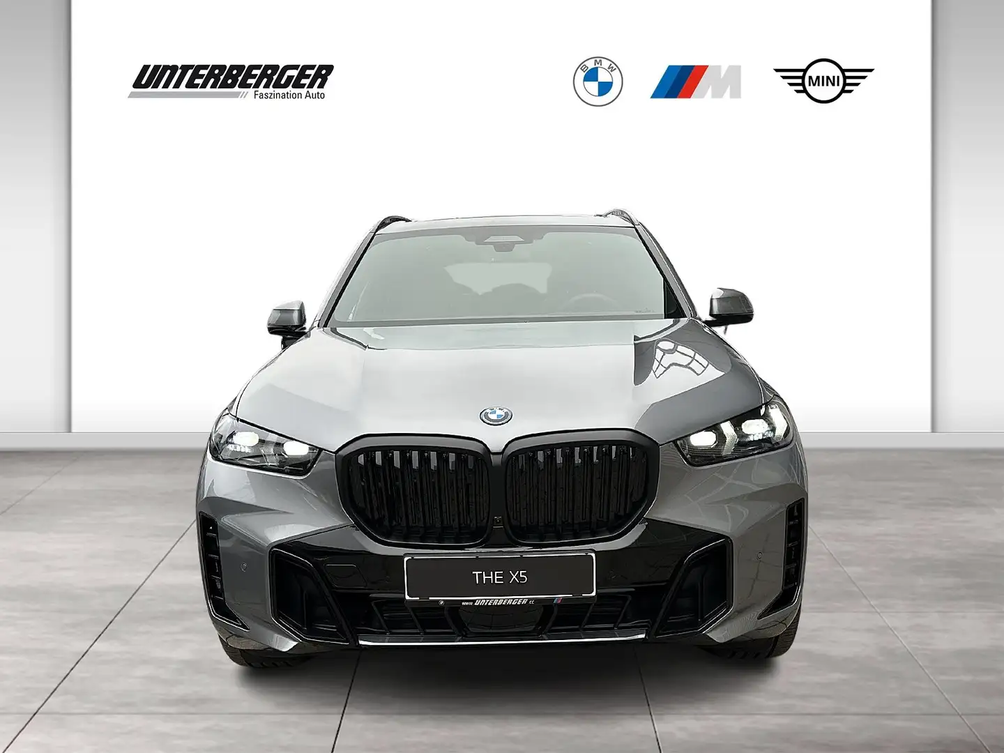 BMW X5 xDrive50e M-Sportpaket Pro // Anhängerkupplung // Grau - 2