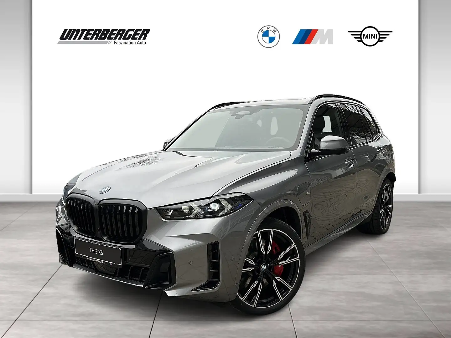 BMW X5 xDrive50e M-Sportpaket Pro // Anhängerkupplung // Grau - 1