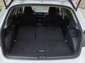 Skoda Fabia Selection TSI Weiß - thumbnail 12