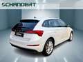 Skoda Scala 1.0 TSI Tour LED Sitzhzg Klimaautomatik PDC Weiß - thumbnail 4