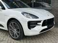 Porsche Macan 2.0 SportDesign PANO|BOSE|LUCHTVERING|Sport-Chrono Wit - thumbnail 28