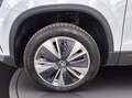 Skoda Karoq 2.0 tdi evo ambition 115cv dsg Bianco - thumbnail 15
