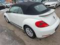 Volkswagen Beetle VW The Beetle Cabriolet TSI Weiß - thumbnail 6