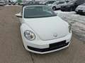 Volkswagen Beetle VW The Beetle Cabriolet TSI Weiß - thumbnail 3