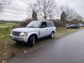 Land Rover Range Rover TDV8 Vogue - thumbnail 7