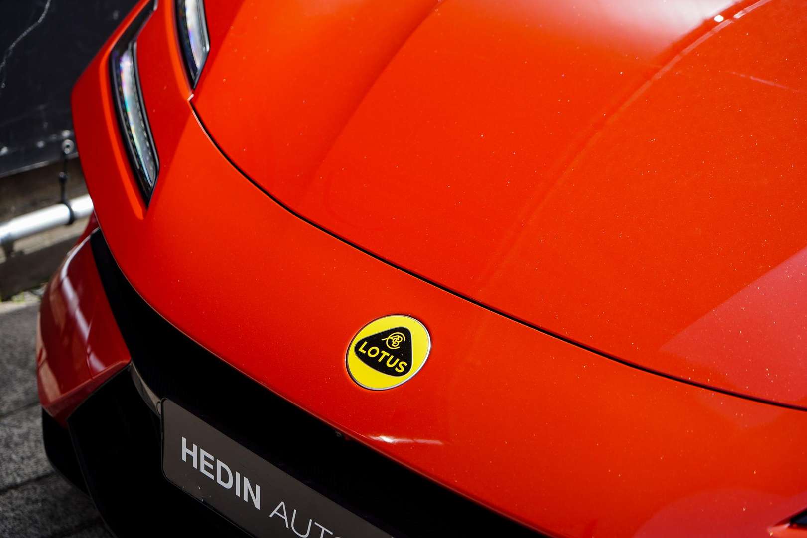 Lotus Emeya -  - Joinsteer - #4