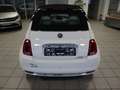 Fiat 500 Cabrio 1.2 Lounge CARPLAY/TEMPOMAT Blanc - thumbnail 6