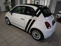 Fiat 500 Cabrio 1.2 Lounge CARPLAY/TEMPOMAT Blanc - thumbnail 5