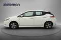 Nissan Leaf Acenta 40 kWh - Carplay, Camera, Navi, Cruise, Sto Blanc - thumbnail 16