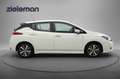 Nissan Leaf Acenta 40 kWh - Carplay, Camera, Navi, Cruise, Sto Blanc - thumbnail 13