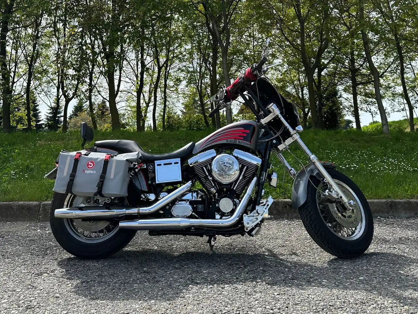 Harley-Davidson Dyna Wide Glide Grau - 1