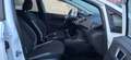 Ford Fiesta Celebration Blanc - thumbnail 14