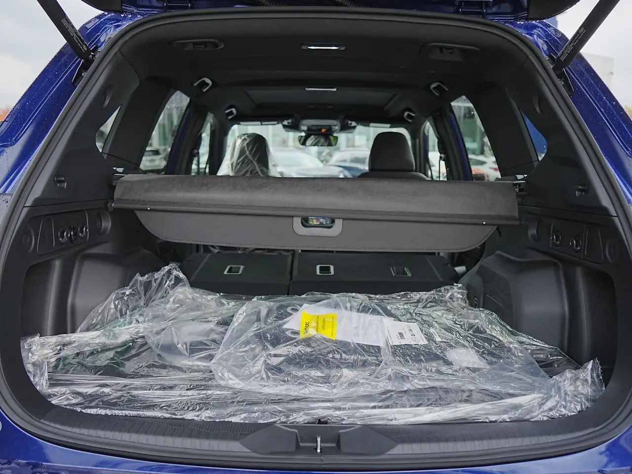 Subaru Forester fotografie Subaru Forester