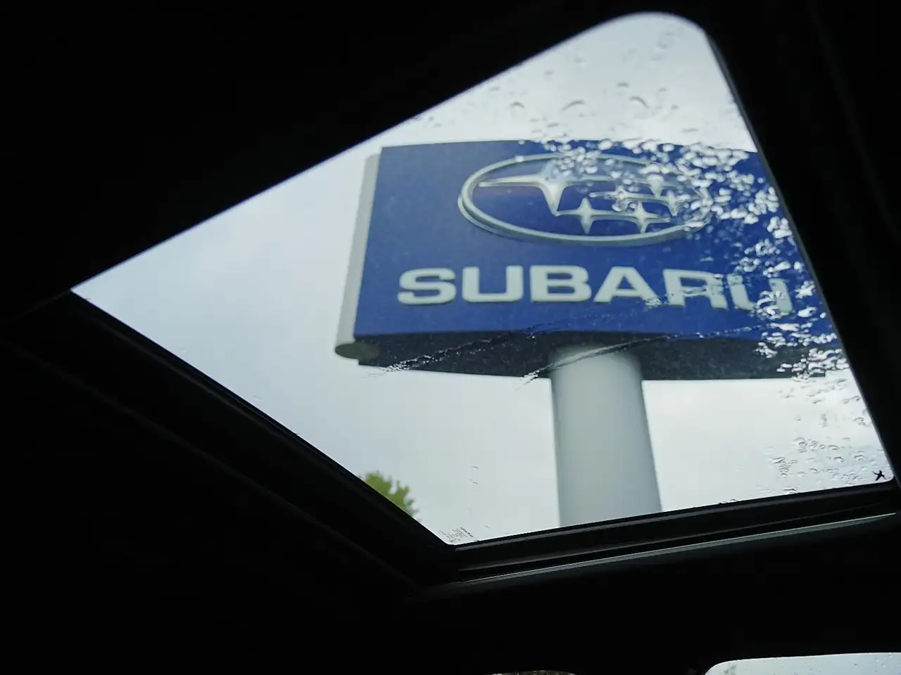 Subaru Forester fotografie Subaru Forester