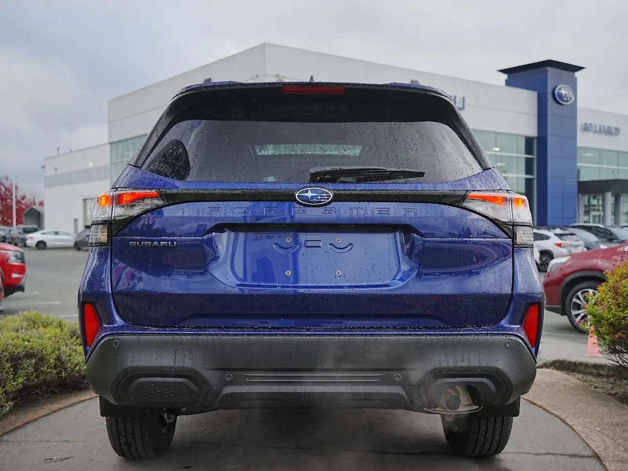 Subaru Forester fotografie Subaru Forester