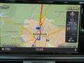 Audi A6 3.0 TDI quattro S-Line / AHK / LED / Kamera / PDC Gris - thumbnail 19