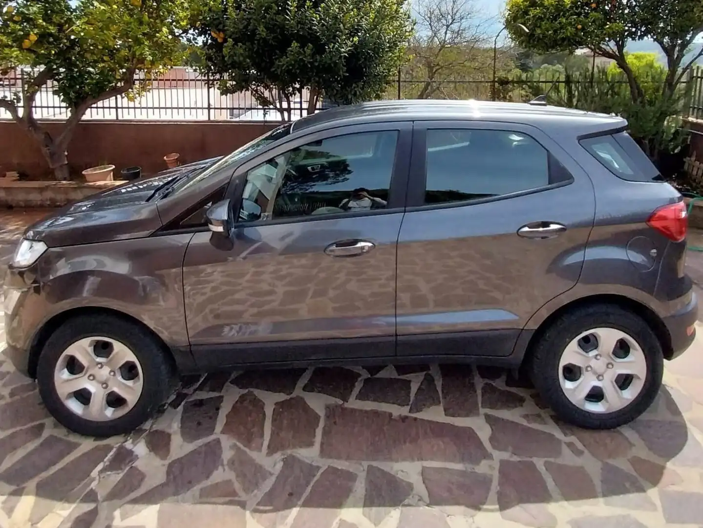 Ford EcoSport 1.0 EcoBoost 100 CV Plus benzina - 2