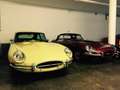 Jaguar E-Type 4.2 Serie 1 2+2 Restauriert- Schalter- Heritage T. Galben - thumbnail 13