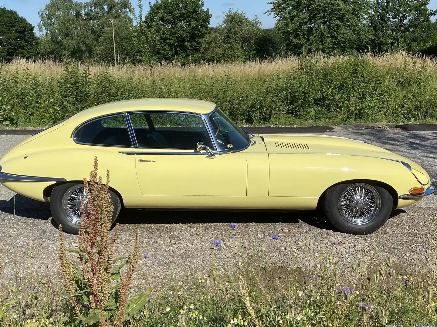 Jaguar E-Type 4.2 Serie 1 2+2 Restauriert- Schalter- Heritage T. Galben - 2