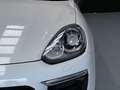 Porsche Cayenne Diesel Aut. Blanc - thumbnail 12