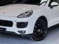 Porsche Cayenne Diesel Aut. Blanc - thumbnail 16