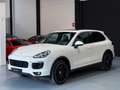 Porsche Cayenne Diesel Aut. Blanc - thumbnail 20