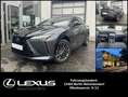 Lexus RZ 450e LUXURY Paket * Panoramadach dimmbar * 2-Farbi Grau - thumbnail 1