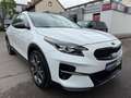 Kia XCeed Launch Edition/LED/PANO/7-G.Aut./ALU 18 Weiß - thumbnail 9