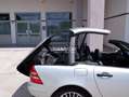 Mercedes-Benz SLK 200 Kompressor - 192 cv. - Prima serie - CRS ASI Silber - thumbnail 6