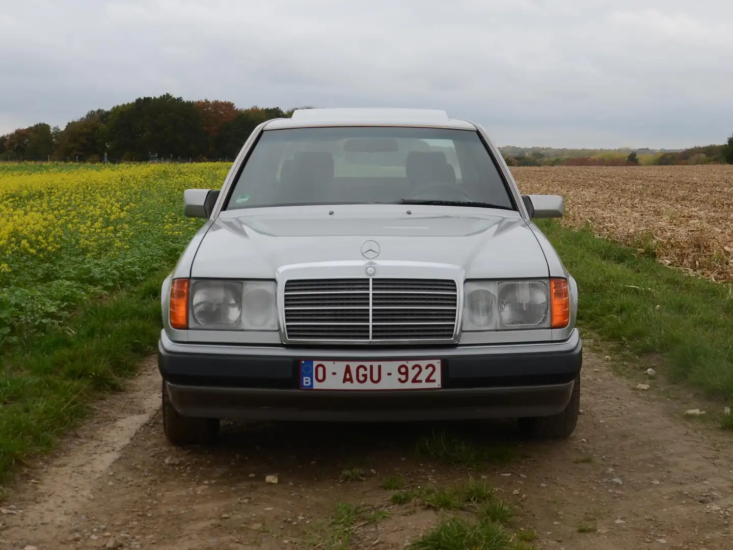 Mercedes-Benz E 230 W124 Grijs - 2