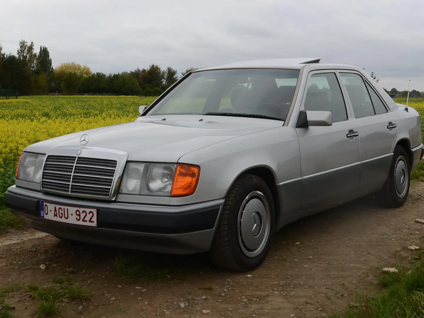 Mercedes-Benz E 230 W124 Grijs - 1
