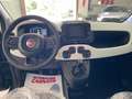 Fiat Panda Pandina 1.0firefly hybrid 70cv Cross Verde Foresta Verde - thumbnail 11