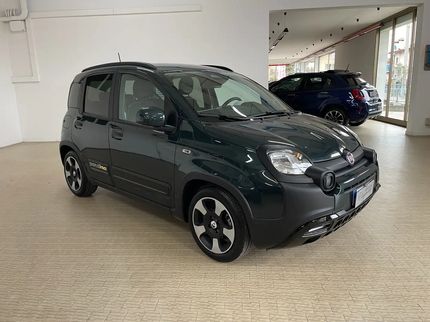 Fiat Panda Pandina 1.0firefly hybrid 70cv Cross Verde Foresta Verde - 2