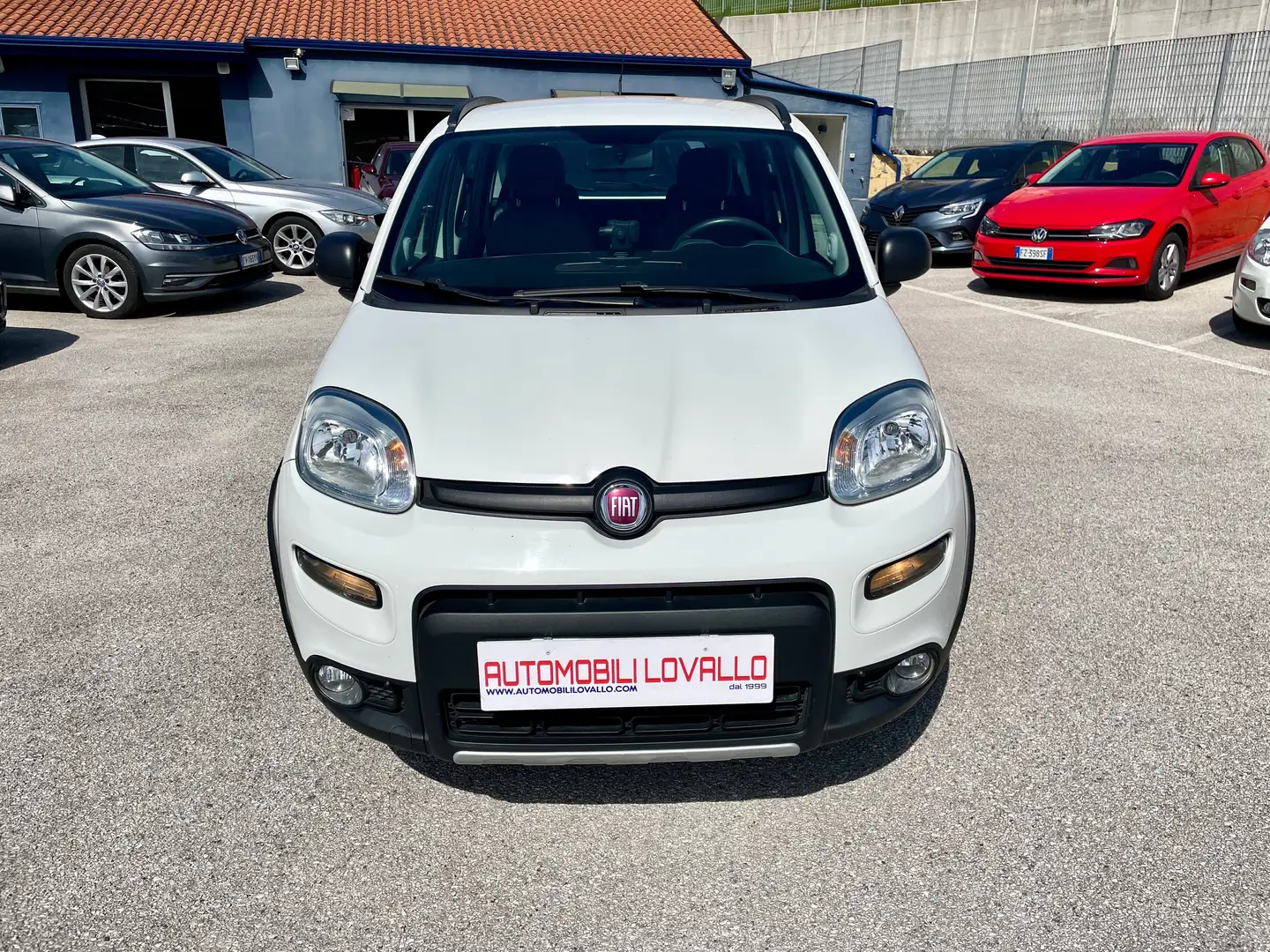 Fiat Panda 1.3 mjt 16v 4x4 2 MODELLI DISPONIBILI-BLOCC. DIFF. Bianco - 2