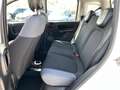 Fiat Panda 1.3 mjt 16v 4x4 2 MODELLI DISPONIBILI-BLOCC. DIFF. Bianco - thumbnail 8
