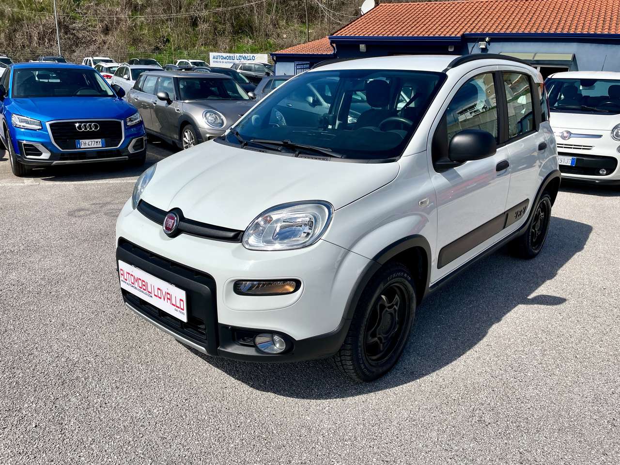 Fiat Panda 1.3 mjt 16v 4x4 2 MODELLI DISPONIBILI-BLOCC. DIFF.
