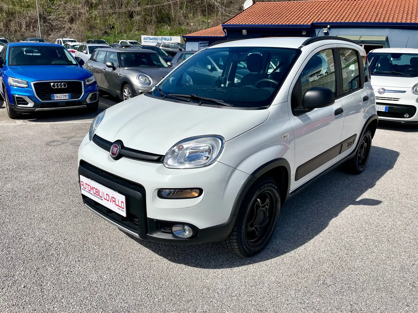 Fiat Panda 1.3 mjt 16v 4x4 2 MODELLI DISPONIBILI-BLOCC. DIFF. Bianco - 1
