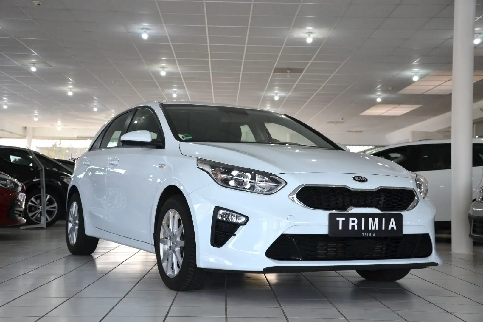 Kia Ceed / cee'd Edition 7 L + Sitzheizung Weiß - 1