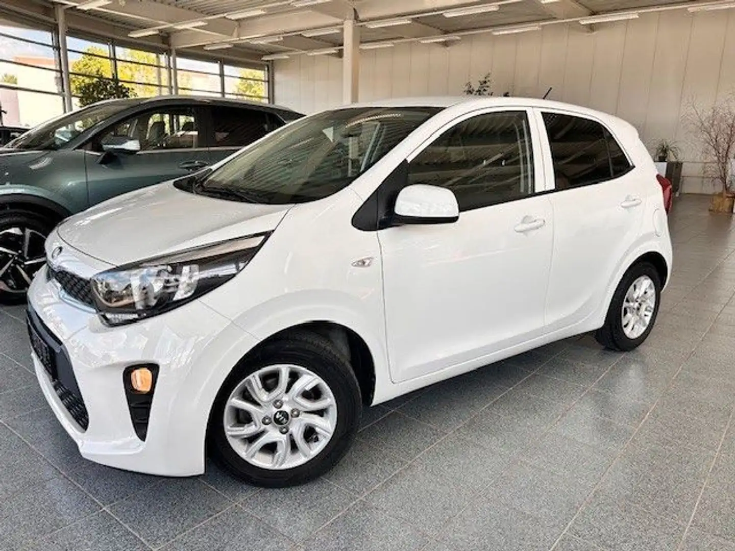 Kia Picanto 1.2 Dream Team Bianco - 1