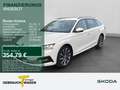 Skoda Octavia Combi iV AMBITION LM18 SITZH PDC+ Weiß - thumbnail 1