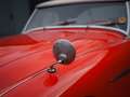 Austin-Healey 3000 BT7 Rouge - thumbnail 16