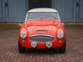 Austin-Healey 3000 BT7 Rouge - thumbnail 3