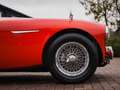 Austin-Healey 3000 BT7 Rouge - thumbnail 14