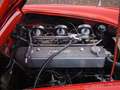 Austin-Healey 3000 BT7 Rouge - thumbnail 36
