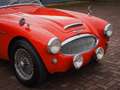 Austin-Healey 3000 BT7 Rouge - thumbnail 7