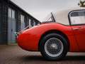 Austin-Healey 3000 BT7 Rouge - thumbnail 12