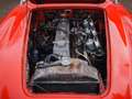 Austin-Healey 3000 BT7 Rouge - thumbnail 35