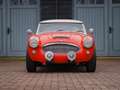 Austin-Healey 3000 BT7 Rouge - thumbnail 4