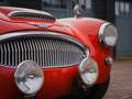 Austin-Healey 3000 BT7 Rouge - thumbnail 9