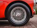 Austin-Healey 3000 BT7 Rouge - thumbnail 15